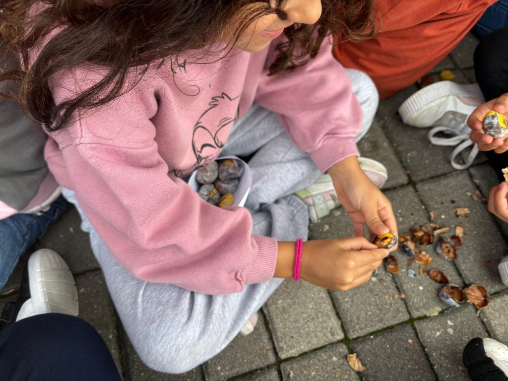 IMG-20251112-WA0109-1024x768 S. Martinho - EB1/JI Aprígio Gomes