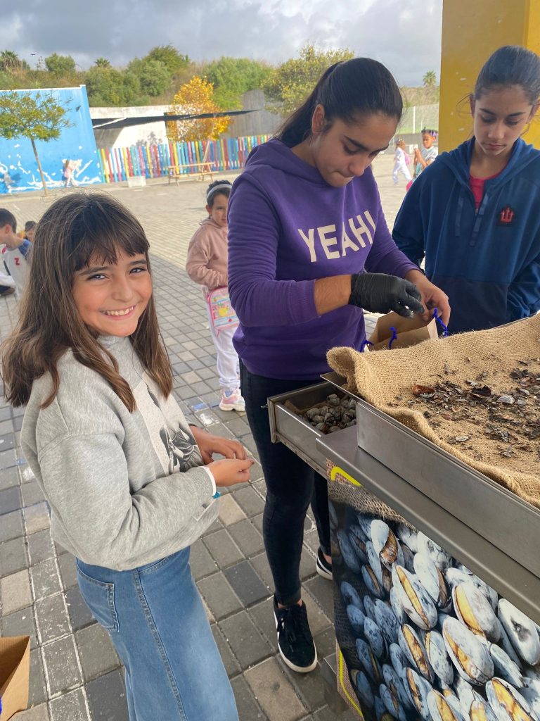 IMG-20251112-WA0111-768x1024 S. Martinho - EB1/JI Aprígio Gomes