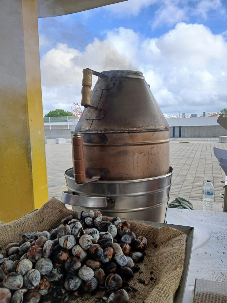 IMG-20251112-WA0123-768x1024 S. Martinho - EB1/JI Aprígio Gomes