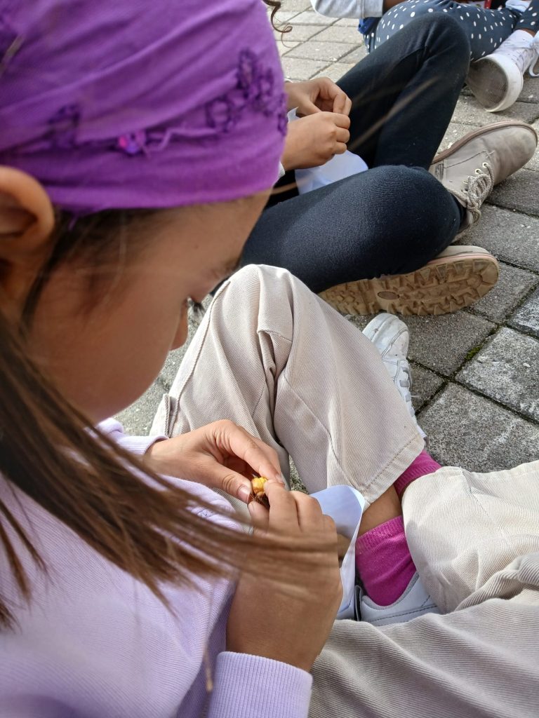 IMG-20251112-WA0126-768x1024 S. Martinho - EB1/JI Aprígio Gomes