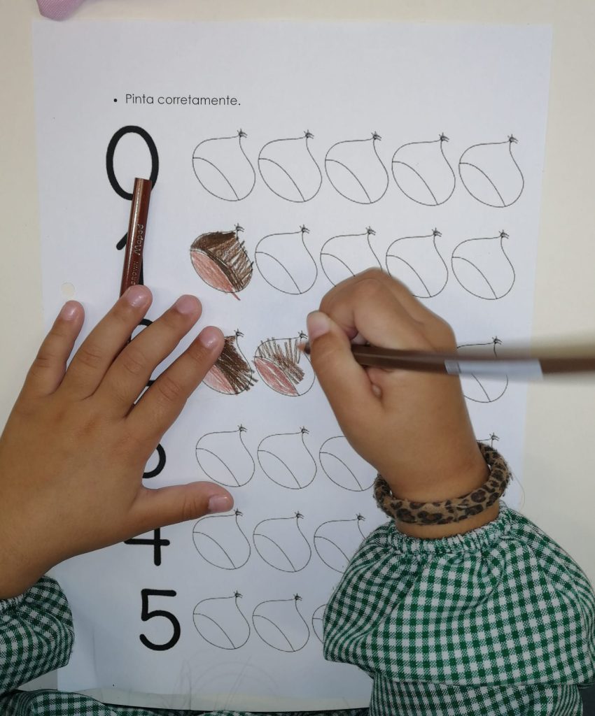 IMG-20251116-WA0021-850x1024 A aprender somos felizes (sala verde – JI da Mina)