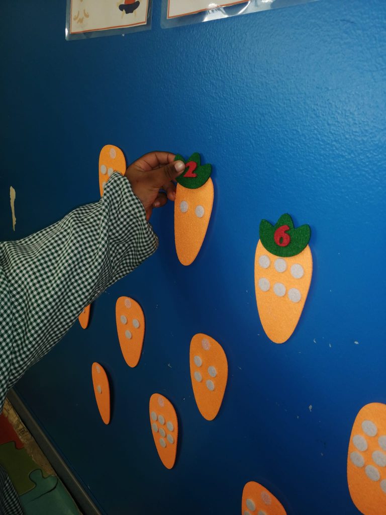 IMG-20251123-WA0039-768x1024 A aprender somos felizes (sala verde – JI da Mina)