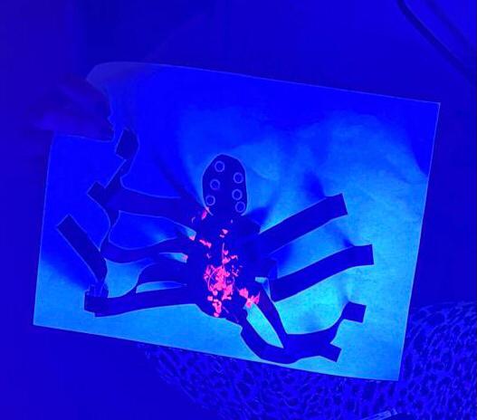 WhatsApp-Image-2025-10-31-at-18.47.00-4 