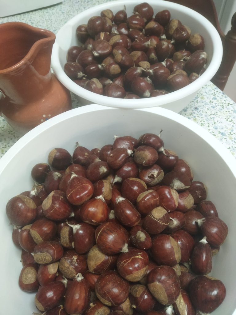 WhatsApp-Image-2025-11-12-at-18.02.54-7-768x1024 Dia de São Martinho