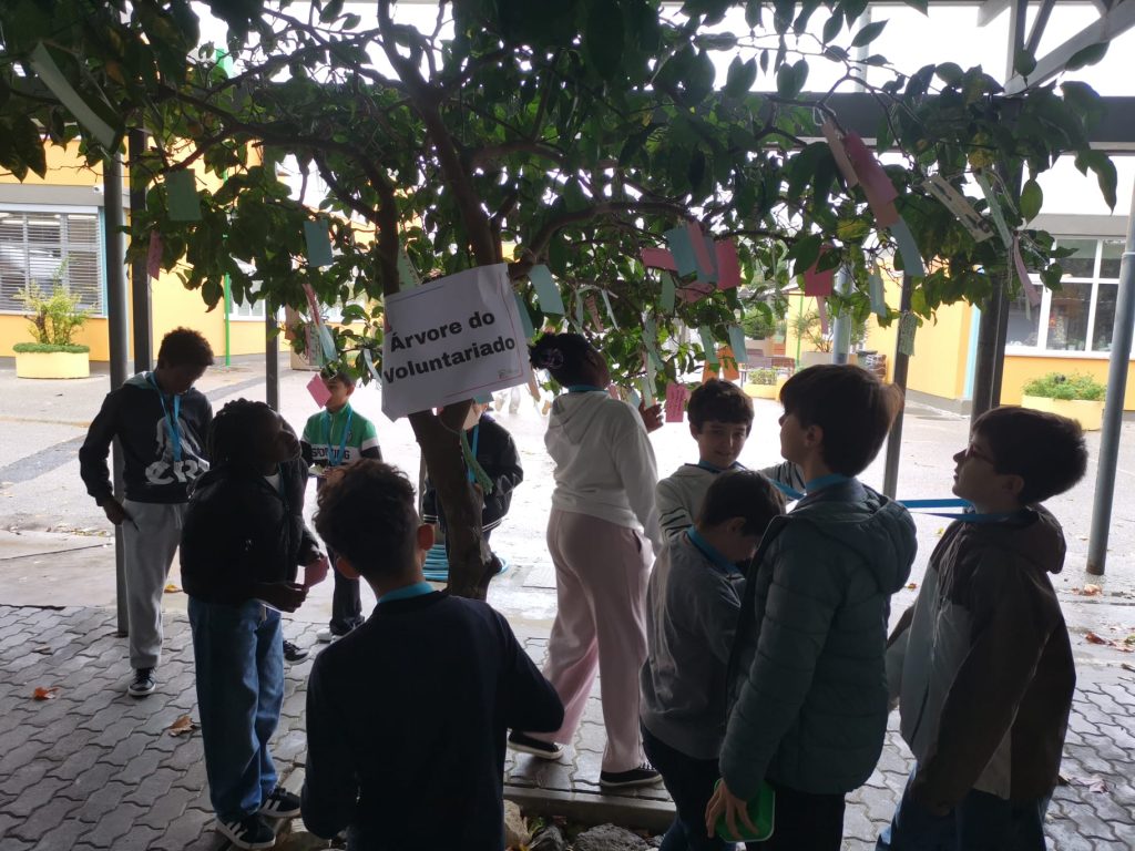 WhatsApp-Image-2025-11-19-at-20.00.33-1-1024x768 Projeto VOLUNTARIX - 5.º ano