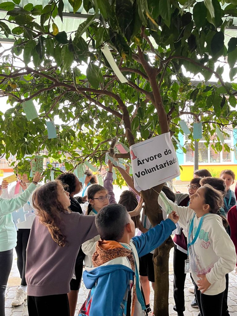 WhatsApp-Image-2025-11-19-at-20.00.55-1-768x1024 Projeto VOLUNTARIX - 5.º ano