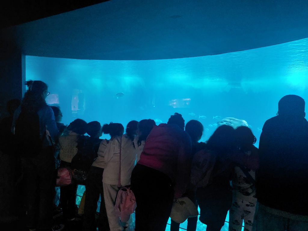 20251127_150516-1024x768 Visita de Estudo ao Oceanário de Lisboa – Turmas do 3.º A e B