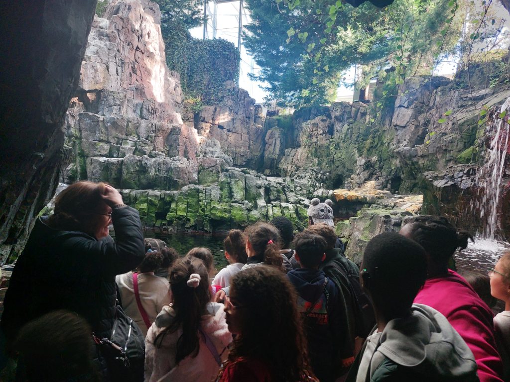 20251127_151010-1024x768 Visita de Estudo ao Oceanário de Lisboa – Turmas do 3.º A e B