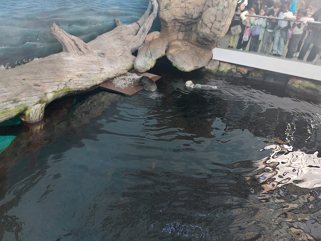 20251127_153109-1024x768 Visita de Estudo ao Oceanário de Lisboa – Turmas do 3.º A e B