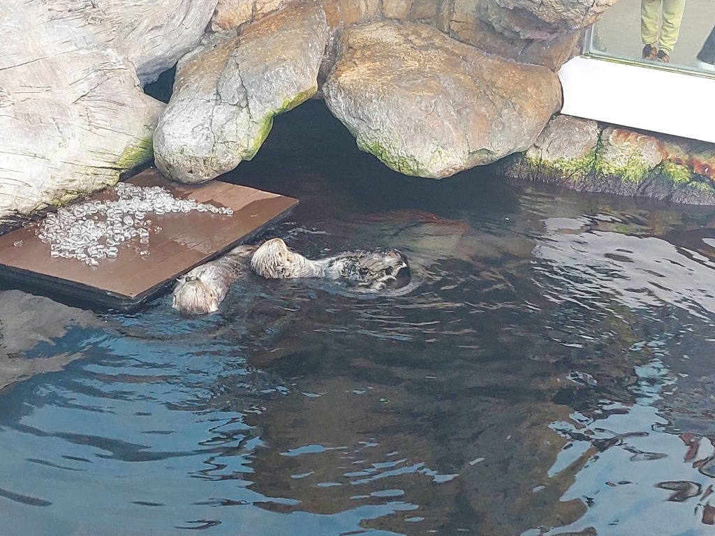 20251127_153115-1-1024x768 Visita de Estudo ao Oceanário de Lisboa – Turmas do 3.º A e B