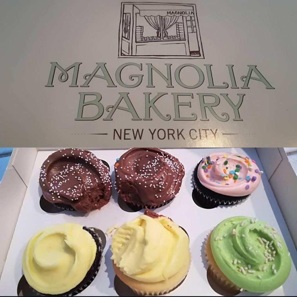 IMG-20251203-WA0221-1024x1024 🗽✨Viagem inesquecível a Nova Iorque! ✨🗽