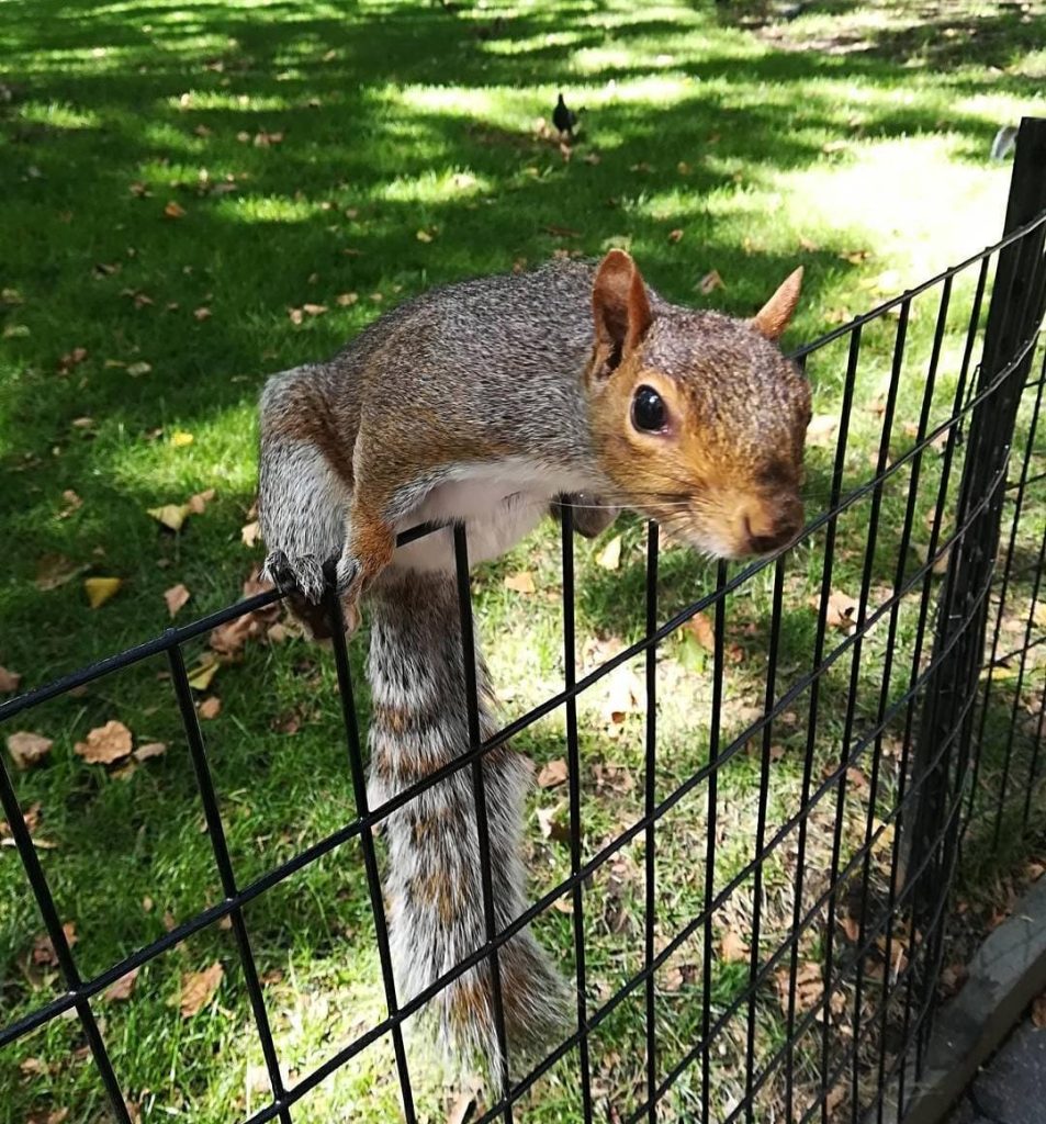 IMG-20251203-WA0235-953x1024 🗽✨Viagem inesquecível a Nova Iorque! ✨🗽