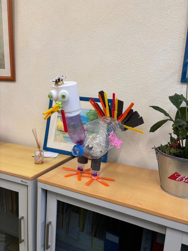 WhatsApp-Image-2025-12-11-at-21.24.14-2-768x1024 The Green Turkey Project - 6.º C