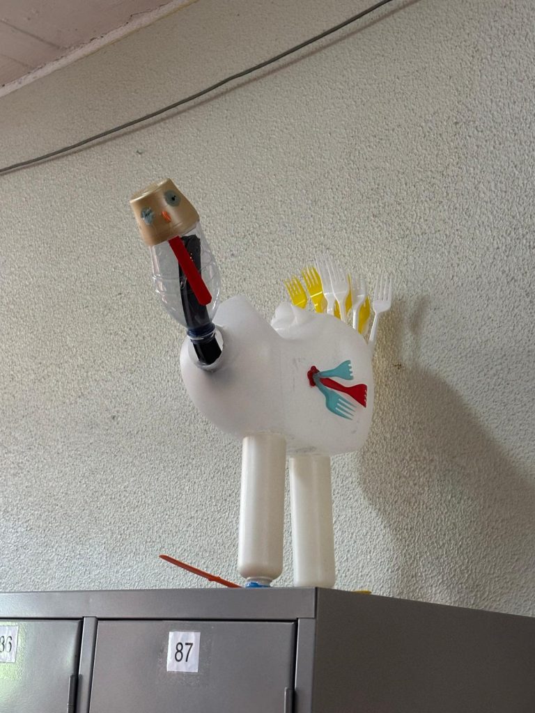 WhatsApp-Image-2025-12-11-at-21.24.15-1-768x1024 The Green Turkey Project - 6.º C