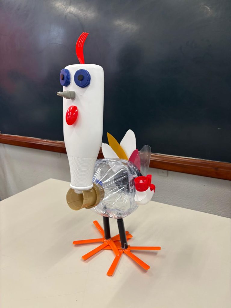 WhatsApp-Image-2025-12-11-at-21.24.15-2-768x1024 The Green Turkey Project - 6.º C