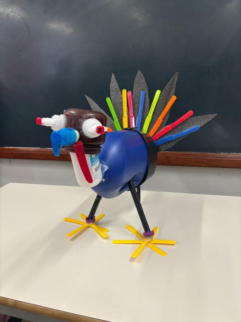 WhatsApp-Image-2025-12-11-at-21.24.15-3-768x1024 The Green Turkey Project - 6.º C