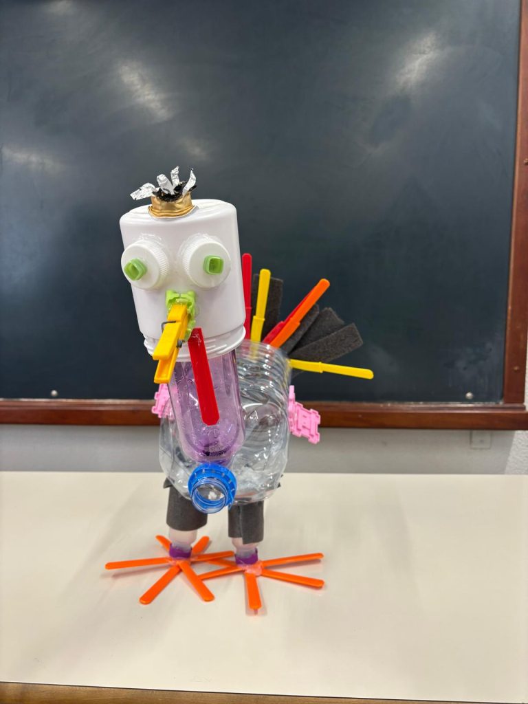 WhatsApp-Image-2025-12-11-at-21.24.16-1-768x1024 The Green Turkey Project - 6.º C