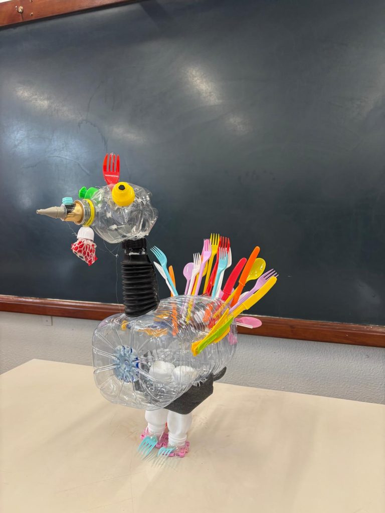 WhatsApp-Image-2025-12-11-at-21.24.16-5-768x1024 The Green Turkey Project - 6.º C