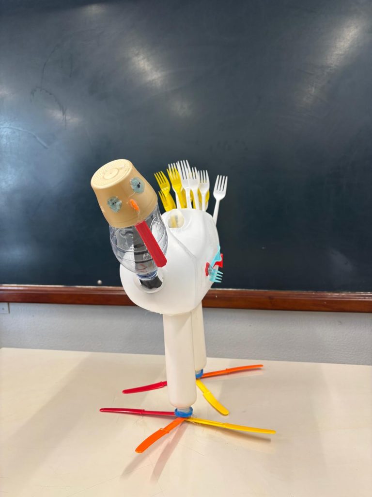 WhatsApp-Image-2025-12-11-at-21.24.18-3-768x1024 The Green Turkey Project - 6.º C