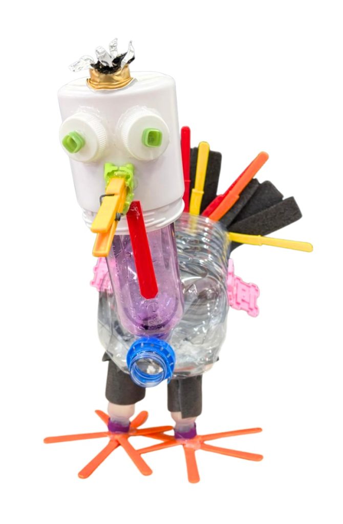 WhatsApp-Image-2025-12-11-at-21.24.19-1-670x1024 The Green Turkey Project - 6.º C