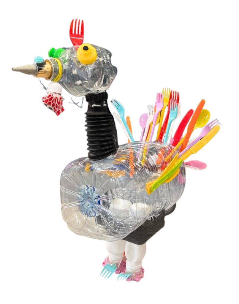 WhatsApp-Image-2025-12-11-at-21.24.19-4-805x1024 The Green Turkey Project - 6.º C