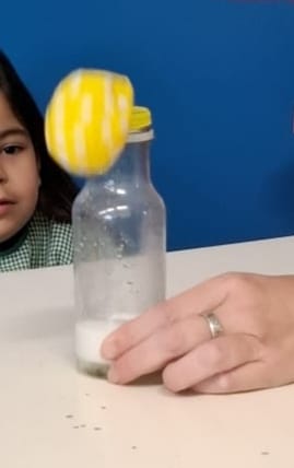 WhatsApp-Image-2026-01-27-at-19.15.27-1 A Aprender somos felizes (sala verde – JI da Mina)