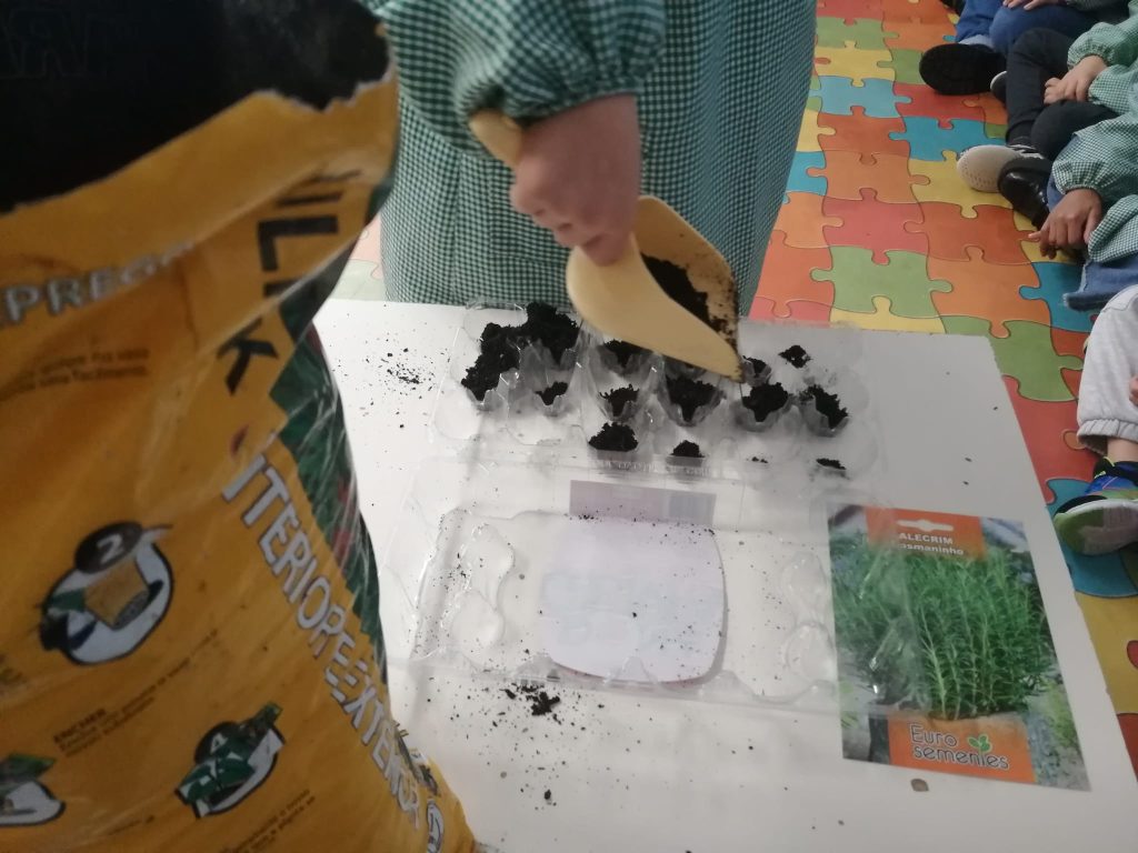 WhatsApp-Image-2026-01-27-at-19.22.55-1024x768 A Aprender somos felizes (sala verde – JI da Mina)