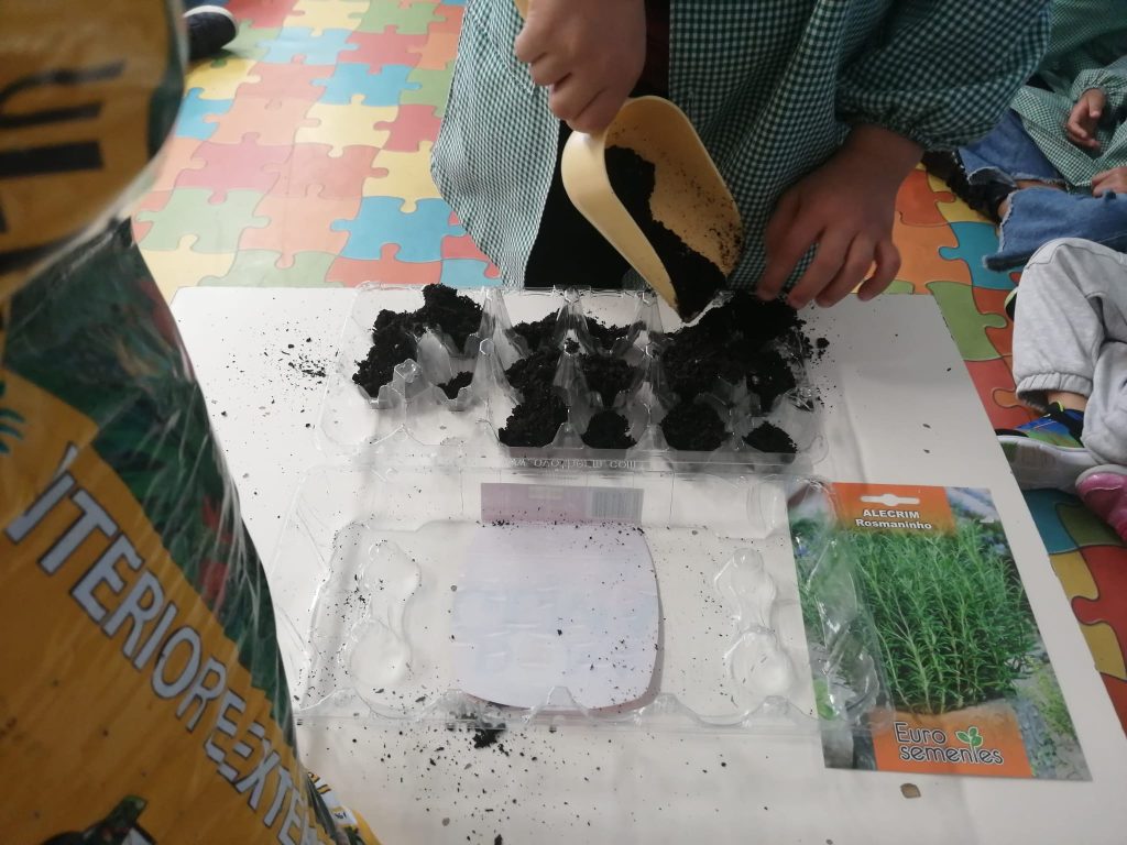 WhatsApp-Image-2026-01-27-at-19.22.56-1024x768 A Aprender somos felizes (sala verde – JI da Mina)