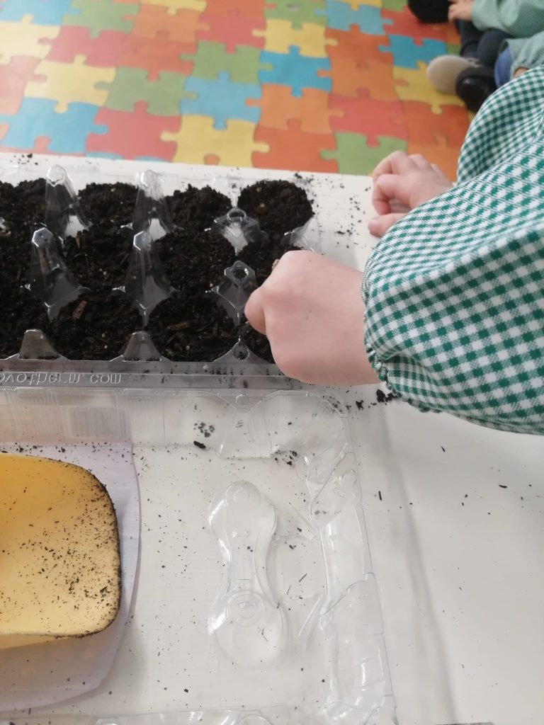 WhatsApp-Image-2026-01-27-at-19.22.56-2-768x1024 A Aprender somos felizes (sala verde – JI da Mina)