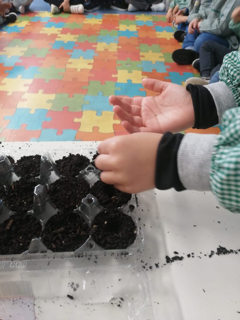 WhatsApp-Image-2026-01-27-at-19.22.57-1-768x1024 A Aprender somos felizes (sala verde – JI da Mina)