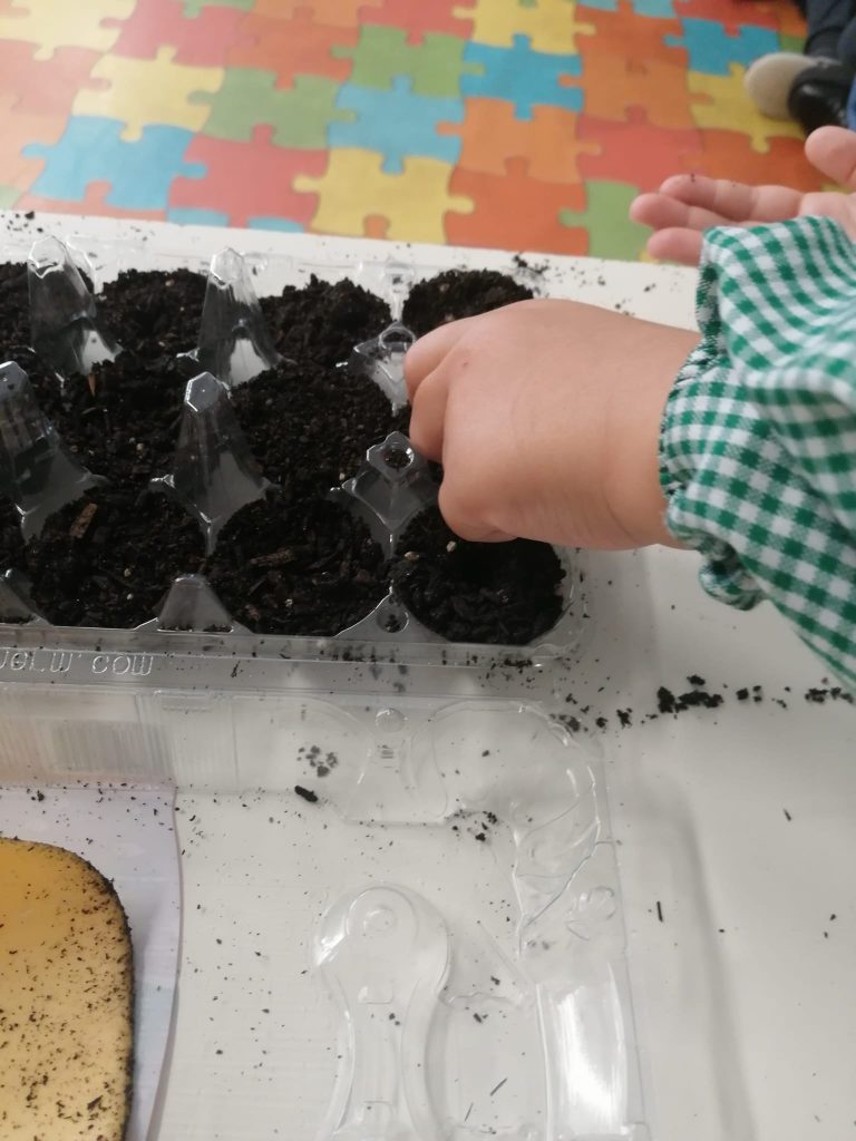 WhatsApp-Image-2026-01-27-at-19.22.57-768x1024 A Aprender somos felizes (sala verde – JI da Mina)