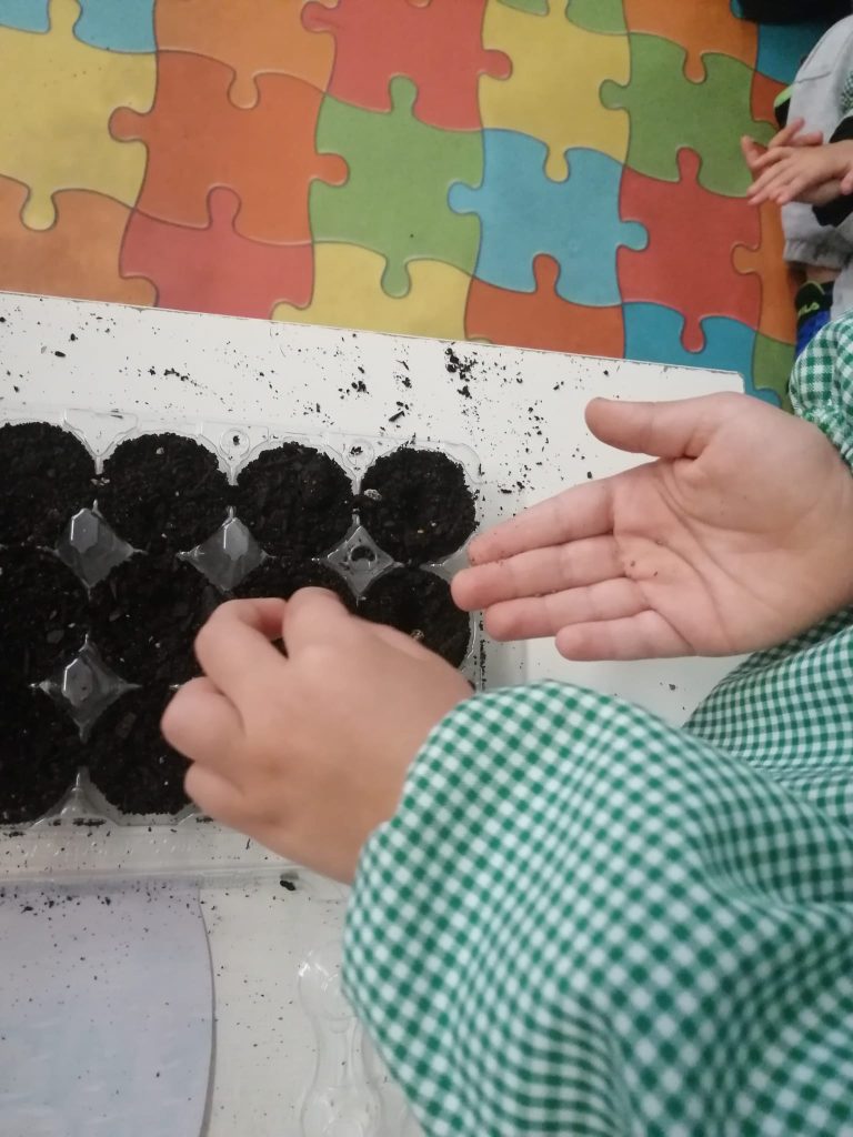 WhatsApp-Image-2026-01-27-at-19.22.58-1-768x1024 A Aprender somos felizes (sala verde – JI da Mina)