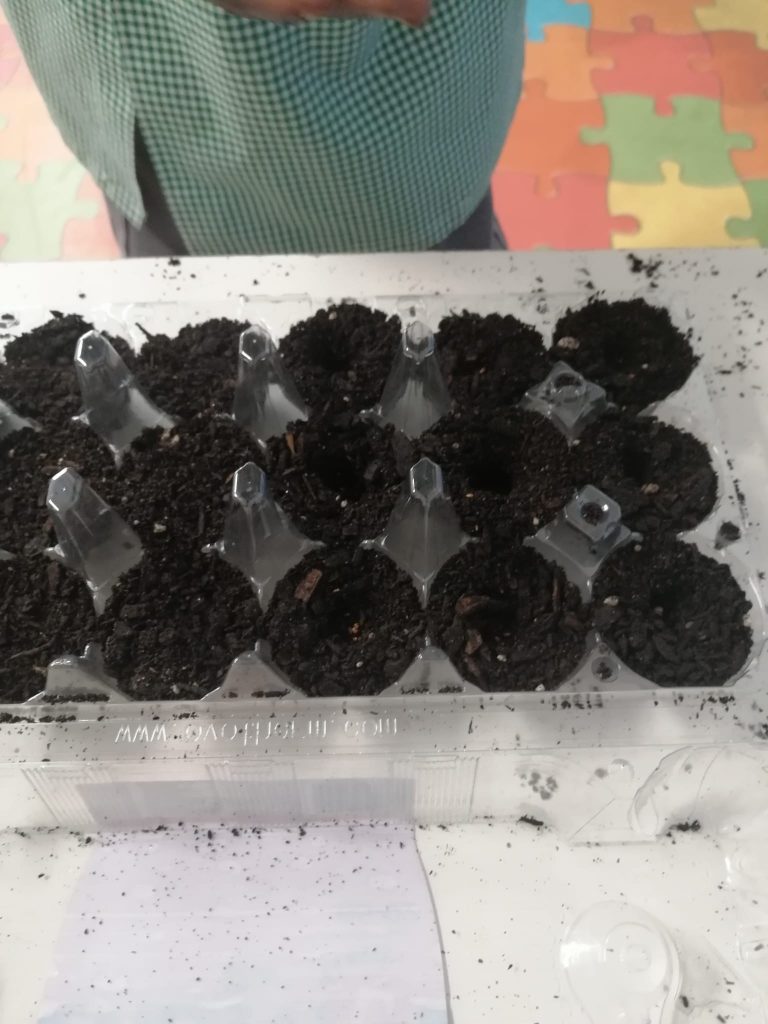 WhatsApp-Image-2026-01-27-at-19.22.58-2-768x1024 A Aprender somos felizes (sala verde – JI da Mina)