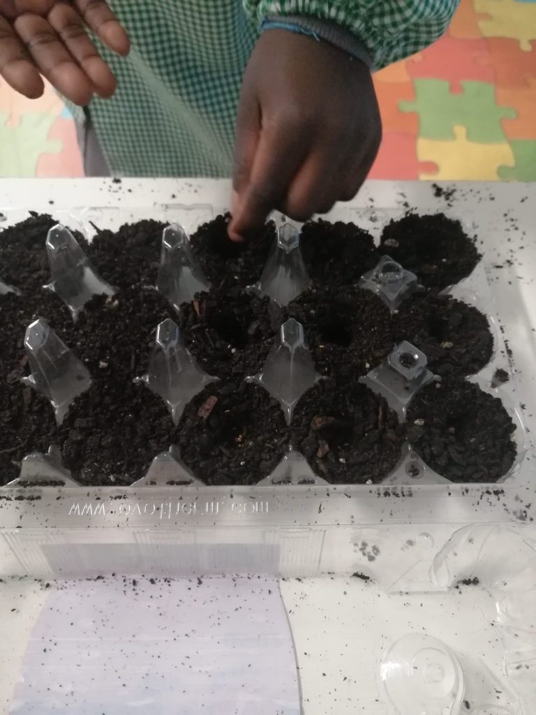 WhatsApp-Image-2026-01-27-at-19.22.58-3-768x1024 A Aprender somos felizes (sala verde – JI da Mina)