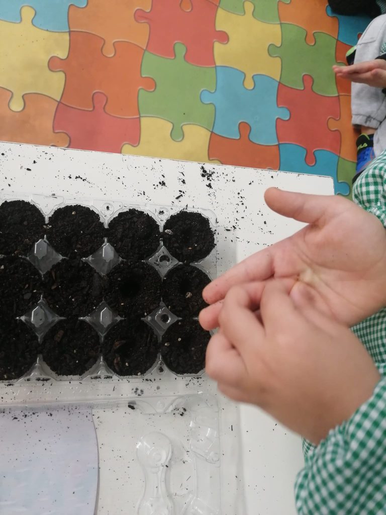 WhatsApp-Image-2026-01-27-at-19.22.58-768x1024 A Aprender somos felizes (sala verde – JI da Mina)