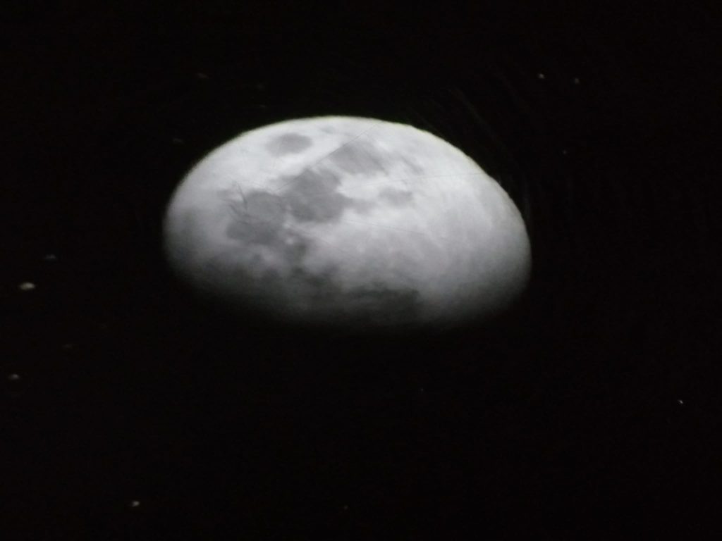 WhatsApp-Image-2026-02-22-at-19.06.31-1024x768 A aprender somos felizes (sala verde - JI Mina)