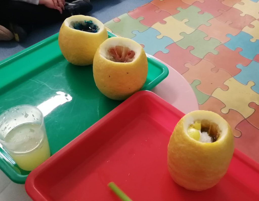 WhatsApp-Image-2026-02-22-at-19.10.28-1-1024x796 A aprender somos felizes (sala verde - JI Mina)