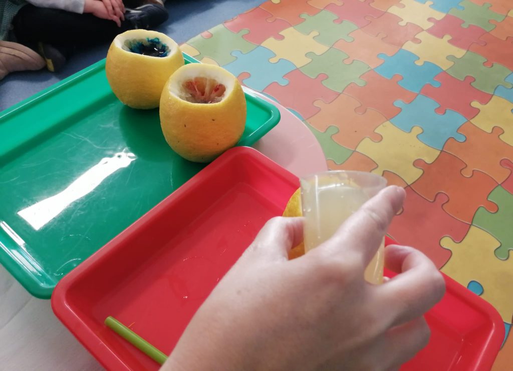 WhatsApp-Image-2026-02-22-at-19.10.28-2-1024x741 A aprender somos felizes (sala verde - JI Mina)