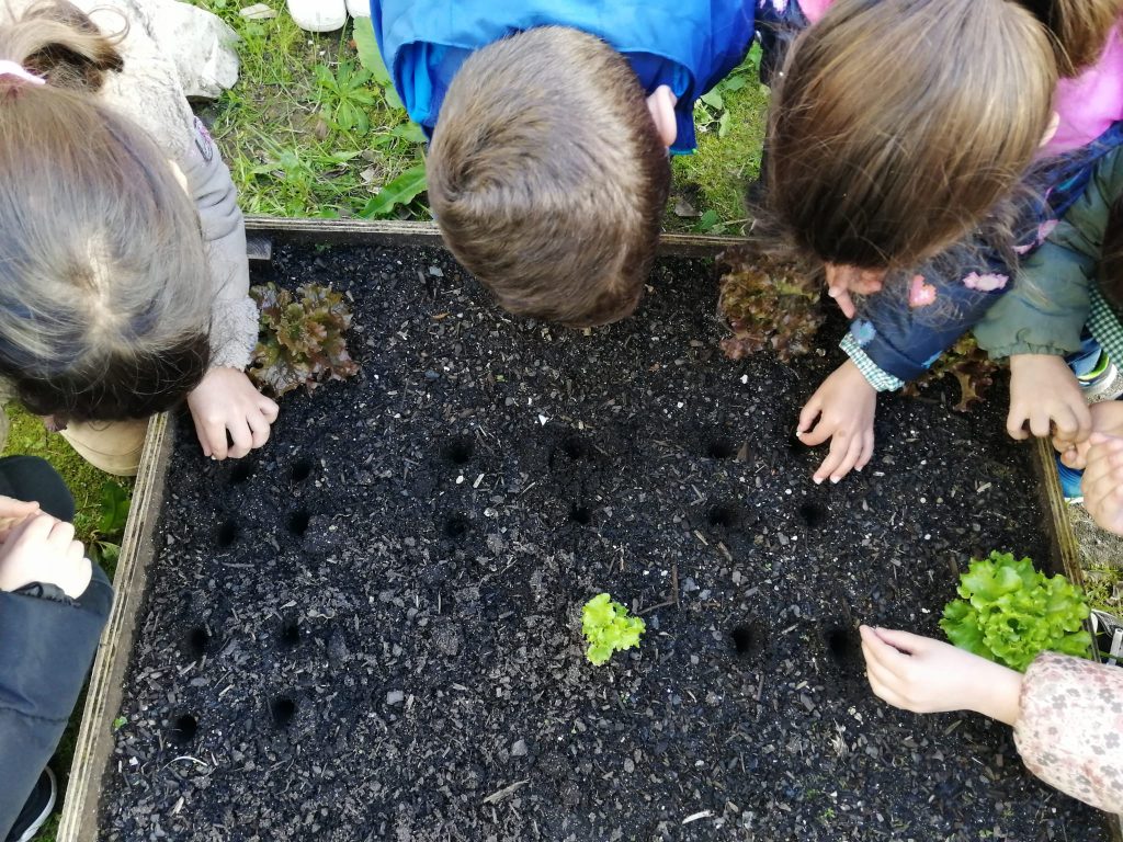 WhatsApp-Image-2026-02-22-at-19.14.34-1-1024x768 A aprender somos felizes (sala verde - JI Mina)