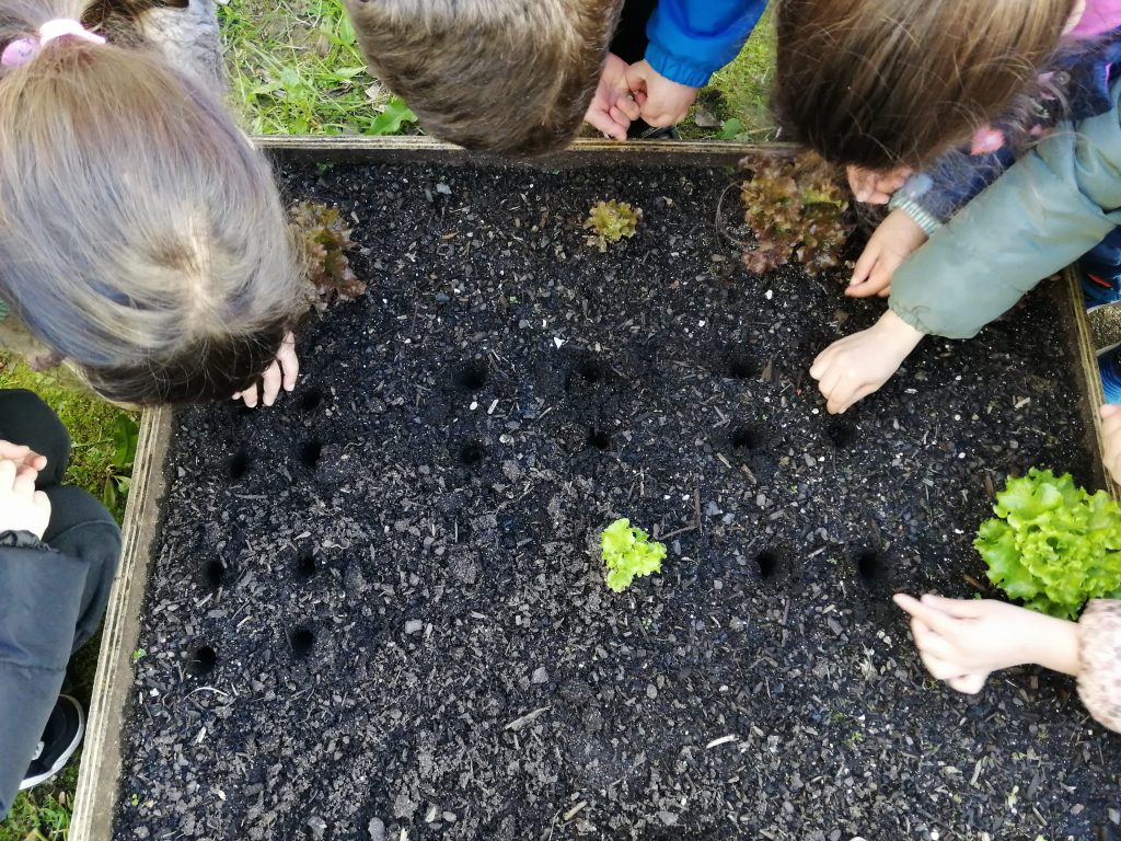 WhatsApp-Image-2026-02-22-at-19.14.34-1024x768 A aprender somos felizes (sala verde - JI Mina)