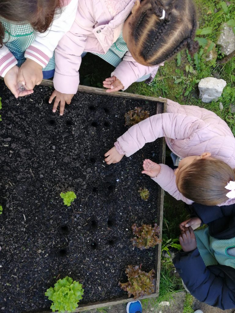 WhatsApp-Image-2026-02-22-at-19.14.34-2-768x1024 A aprender somos felizes (sala verde - JI Mina)