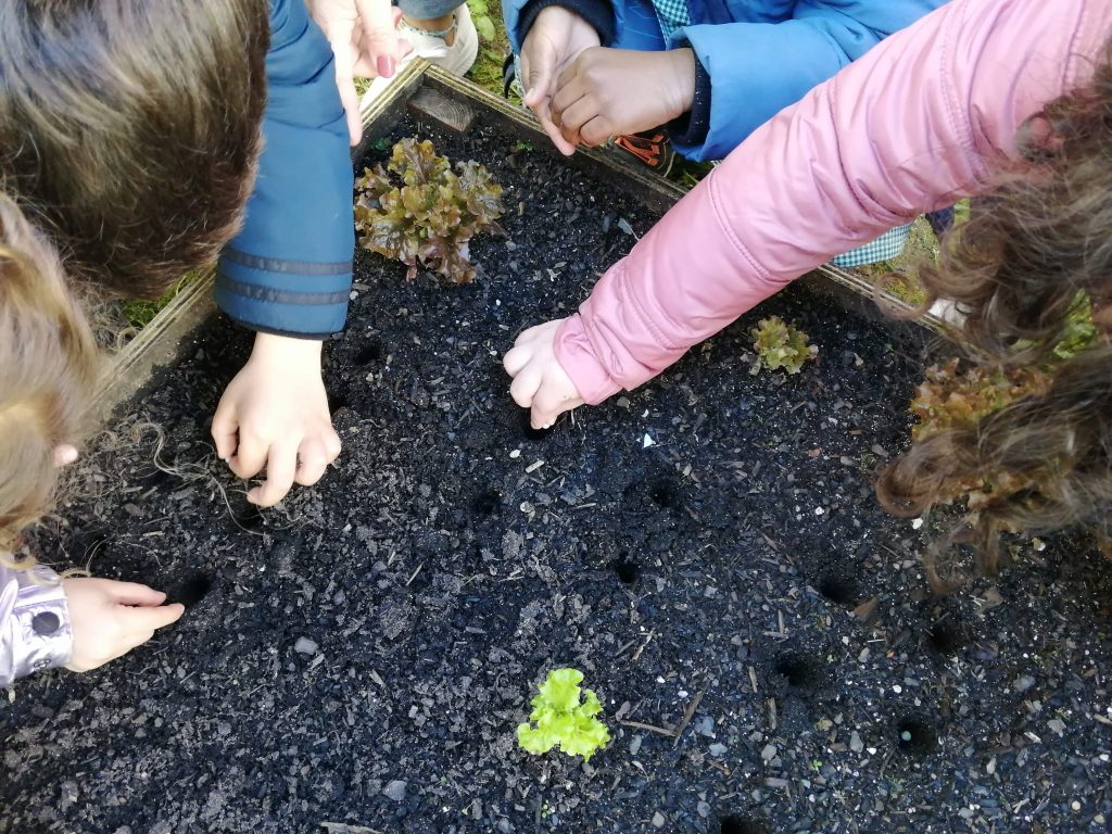 WhatsApp-Image-2026-02-22-at-19.14.35-1-1024x768 A aprender somos felizes (sala verde - JI Mina)