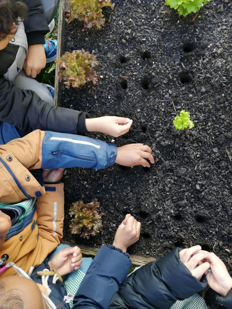 WhatsApp-Image-2026-02-22-at-19.14.35-2-768x1024 A aprender somos felizes (sala verde - JI Mina)