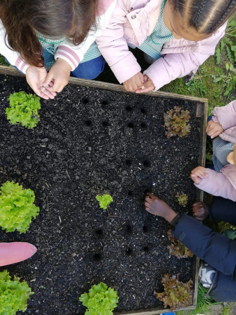 WhatsApp-Image-2026-02-22-at-19.14.35-768x1024 A aprender somos felizes (sala verde - JI Mina)