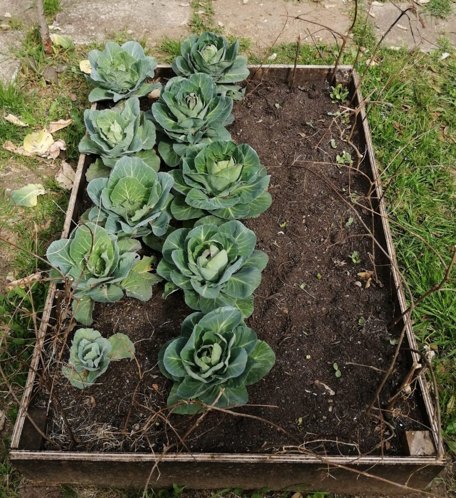 WhatsApp-Image-2026-04-19-at-18.02.18-1-938x1024 A aprender somos felizes (sala verde JI da Mina)