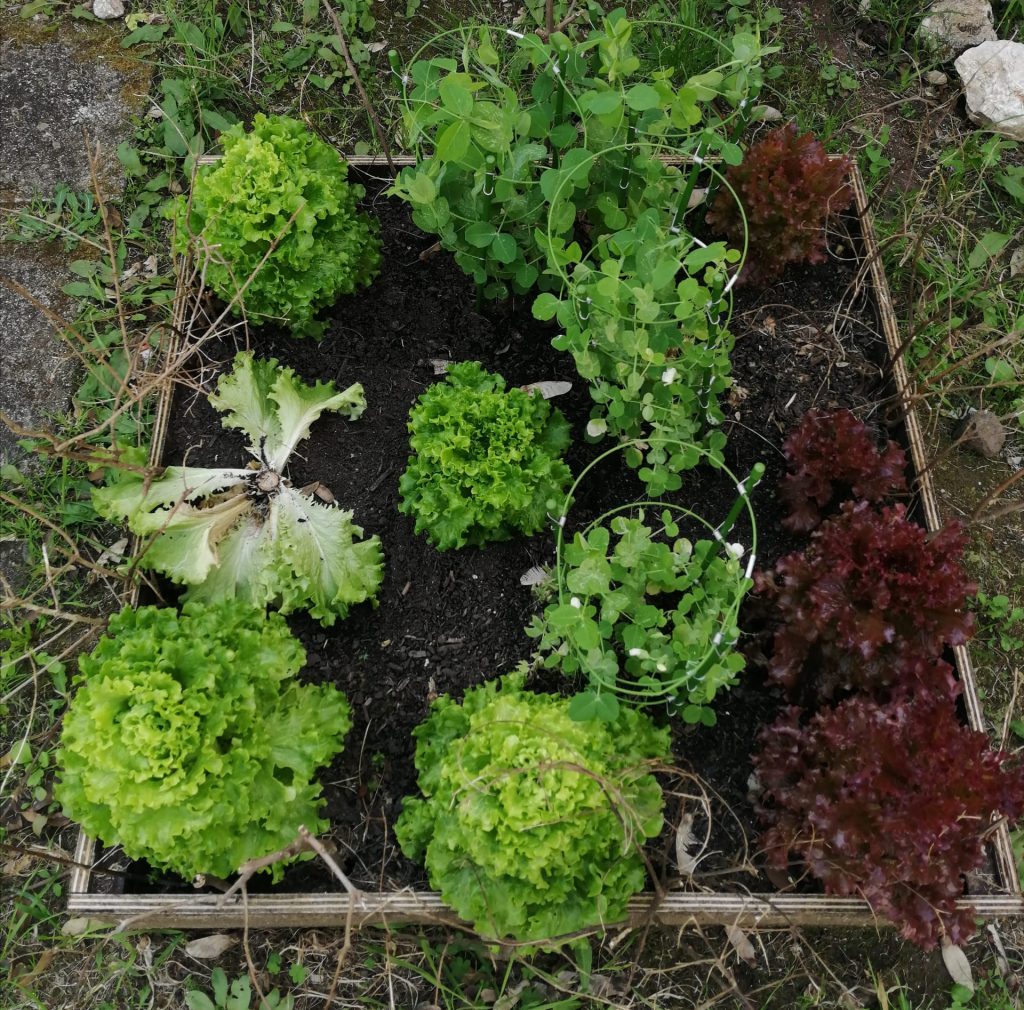 WhatsApp-Image-2026-04-19-at-18.02.18-2-1024x1010 A aprender somos felizes (sala verde JI da Mina)