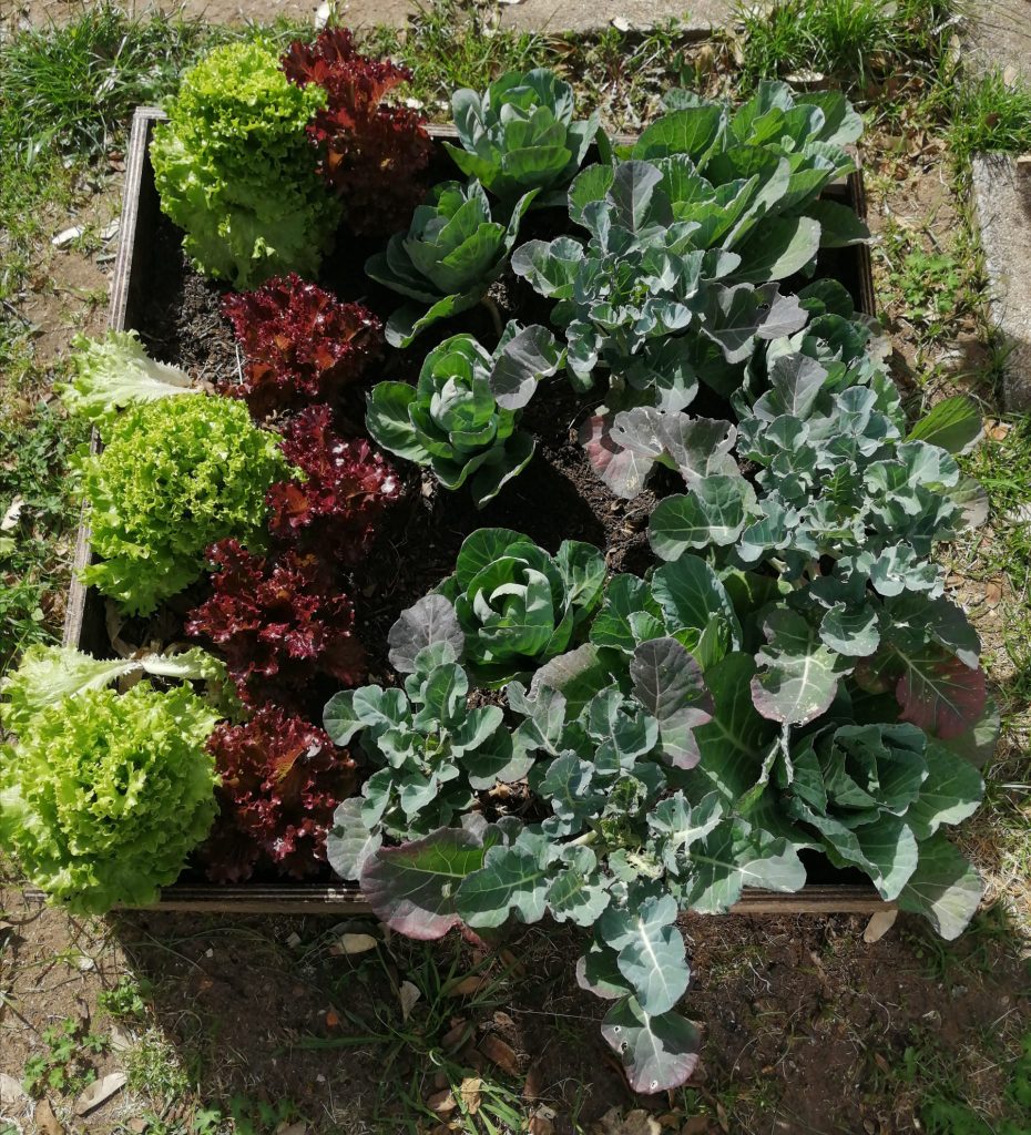 WhatsApp-Image-2026-04-19-at-18.02.19-930x1024 A aprender somos felizes (sala verde JI da Mina)