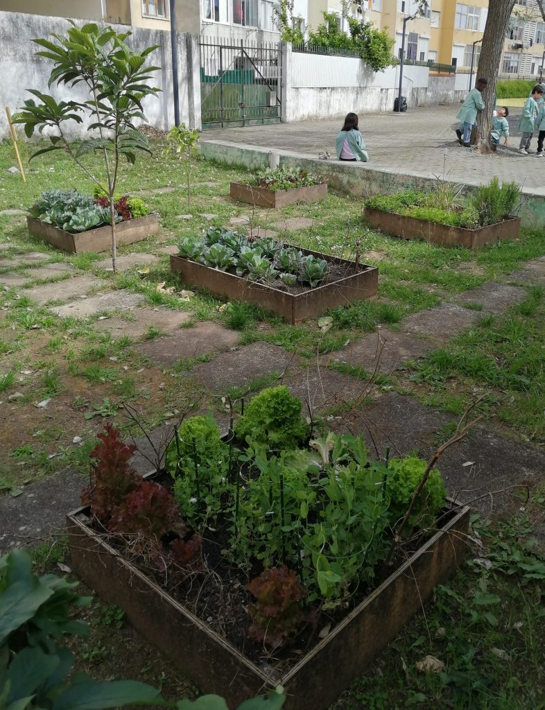 WhatsApp-Image-2026-04-19-at-18.02.20-1-786x1024 A aprender somos felizes (sala verde JI da Mina)