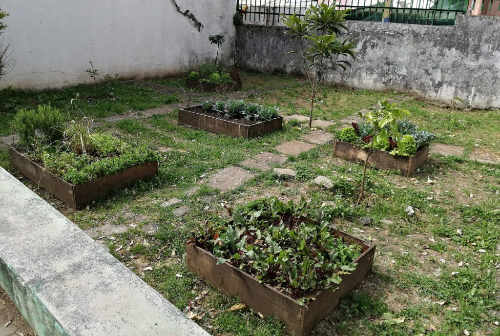 WhatsApp-Image-2026-04-19-at-18.02.20-2-1024x688 A aprender somos felizes (sala verde JI da Mina)