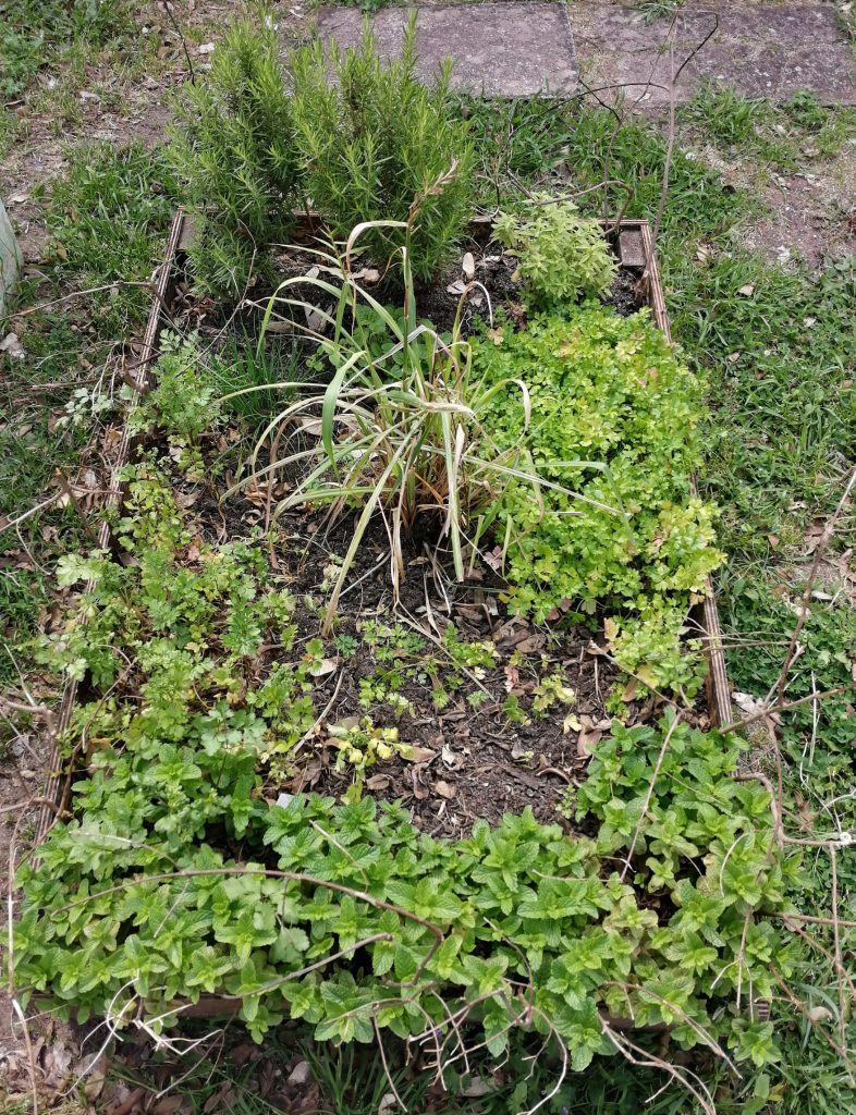 WhatsApp-Image-2026-04-19-at-18.02.21-786x1024 A aprender somos felizes (sala verde JI da Mina)